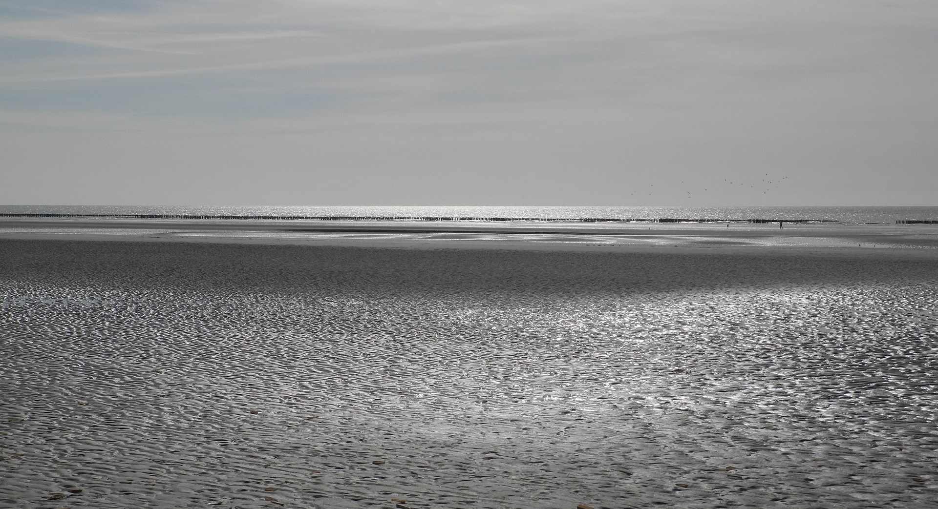 Hauts-de-France / Somme / Abbeville